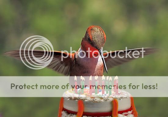 les anniversaires... - Page 22 1507175-2-birthday-bird