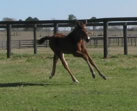 At 11 Days old... A-12