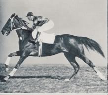 Phar Lap Pharlap-1