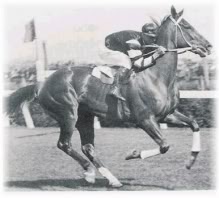 Phar Lap Pharlap2