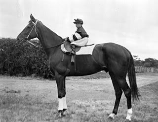 Phar Lap Pow_45_enlargement_tcm2-8316