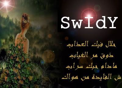     SWIDY-1