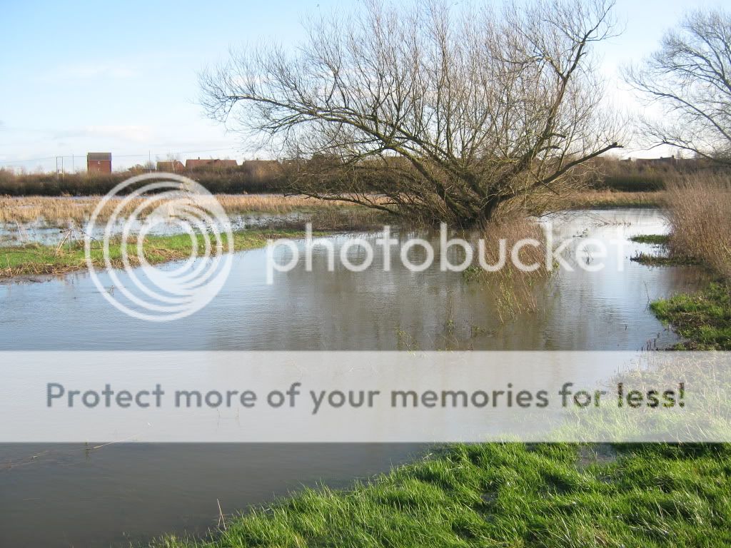 our fields are almost  flooded 026-2