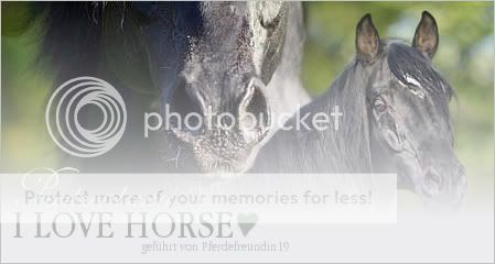 Simple, kostenlose Banner Banner_ILOVEHORSE_1_3