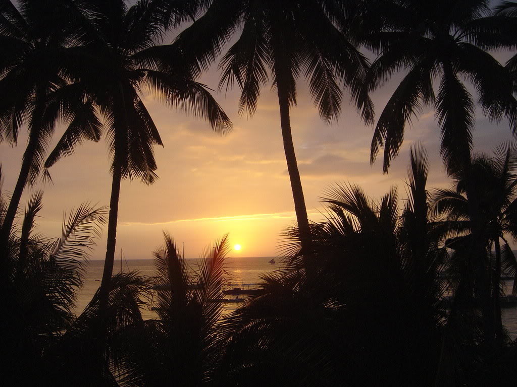 Zalasci Sunca Wallpaper_sunset_palms-2289