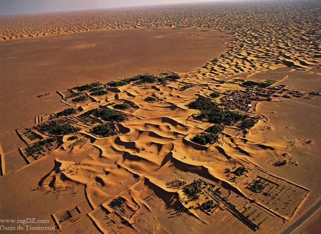 صور عن الجزائر العريقة OasisdeTimimoun