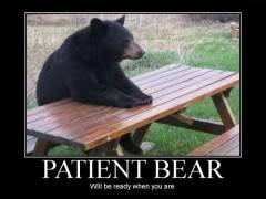 TORA TV - Page 20 Patient-bear-will-be-ready-when-you-are-240x180