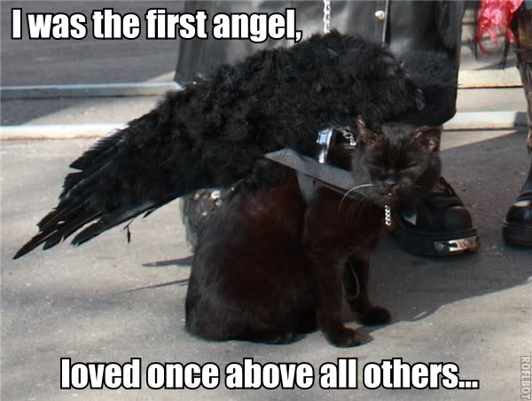 Oscar the cat: Angel of Death Lucifer