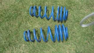 Roush Rear Springs DSC00997