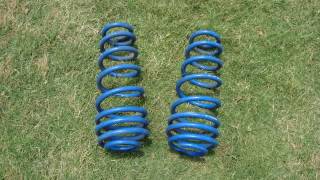 Roush Rear Springs DSC00998