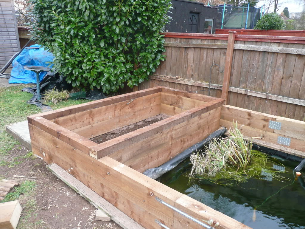 pond re-build earlier this year Veggiepond