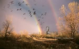 Rainbow Bridge