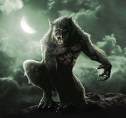 Lycan Clan Leader