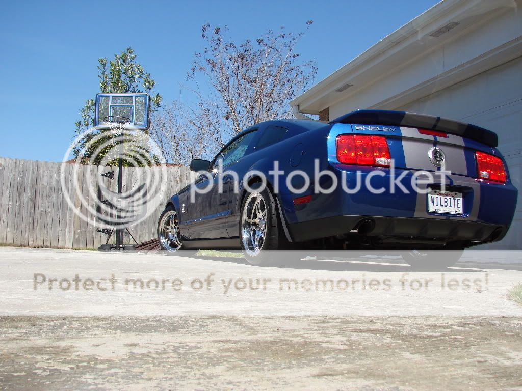 New lowering springs for the cobra - Page 3 GT500rims016rs