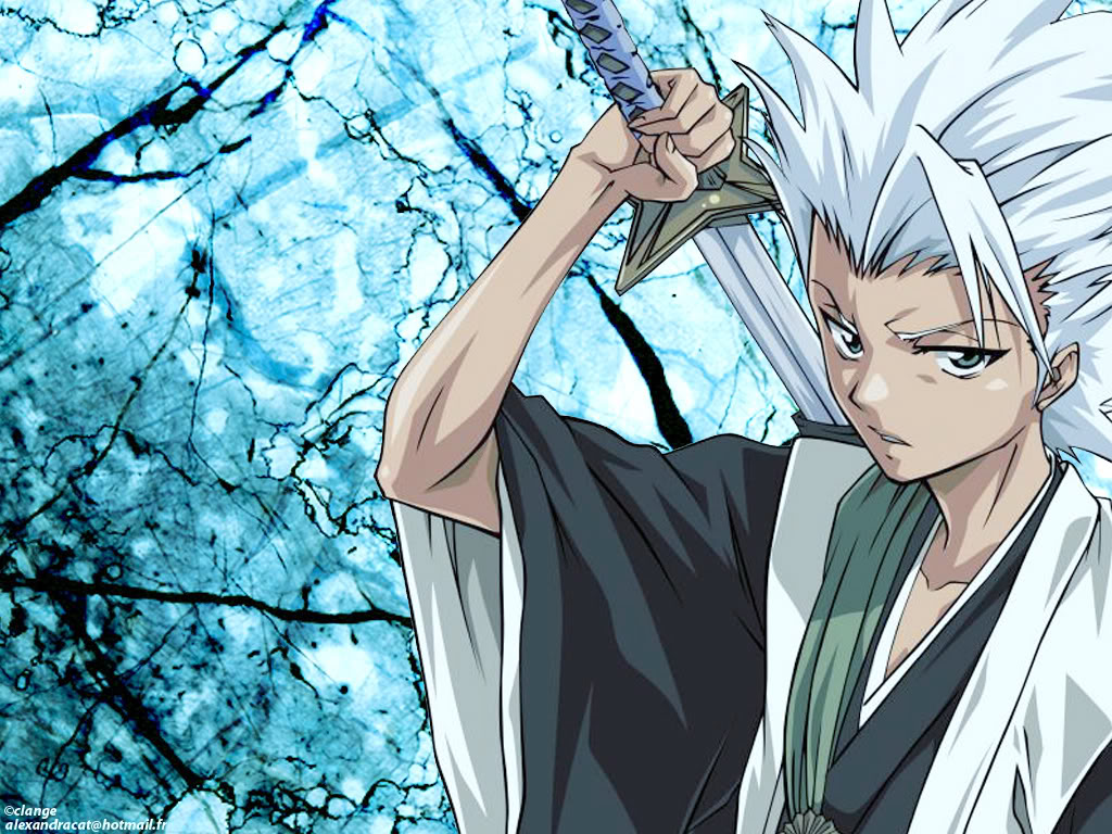 Regarde une feuille de personnage Hitsugaya_clange-2