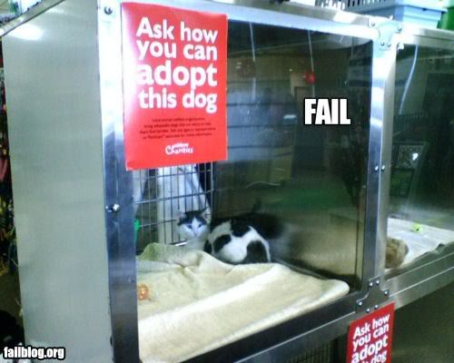 FAIL Fail-owned-dog-adoption-fail
