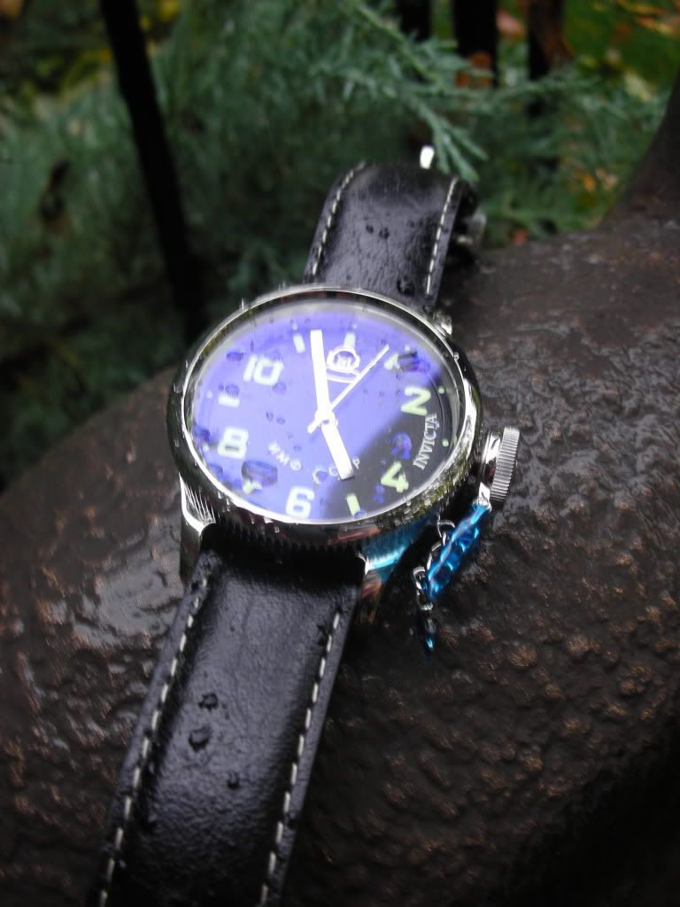 My daughter's Russian Diver Sanfrancisco396