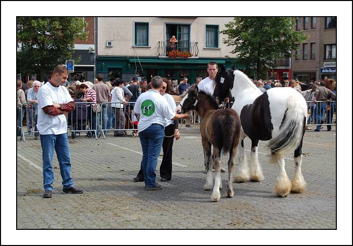 Concour à Torhout: je suis superfière!!! Dsc_0042-border