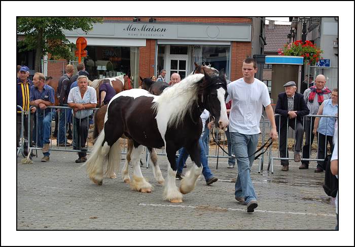 Concour à Torhout: je suis superfière!!! Dsc_0073-border