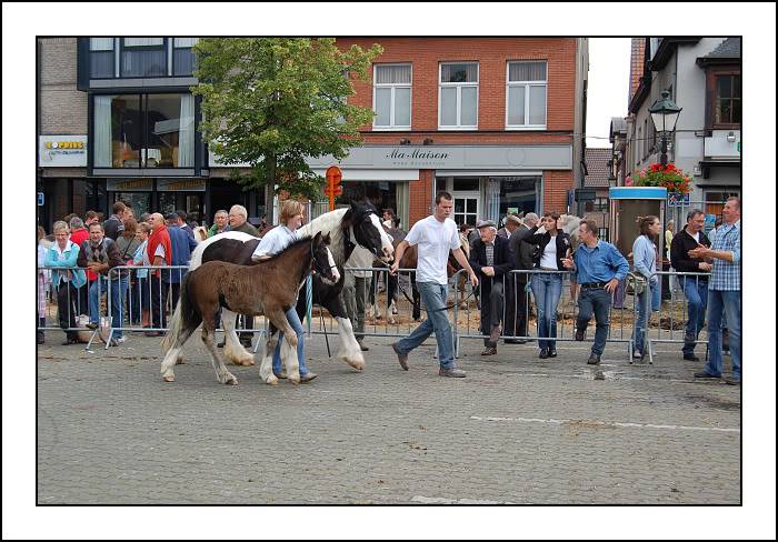 Concour à Torhout: je suis superfière!!! Dsc_0090-border