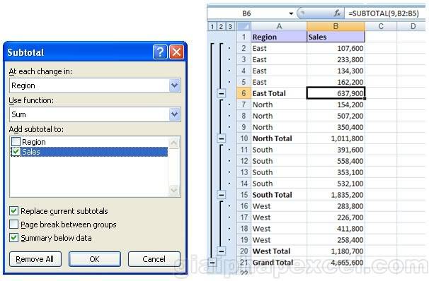 Làm nổi các Subtotal của Excel H36_02