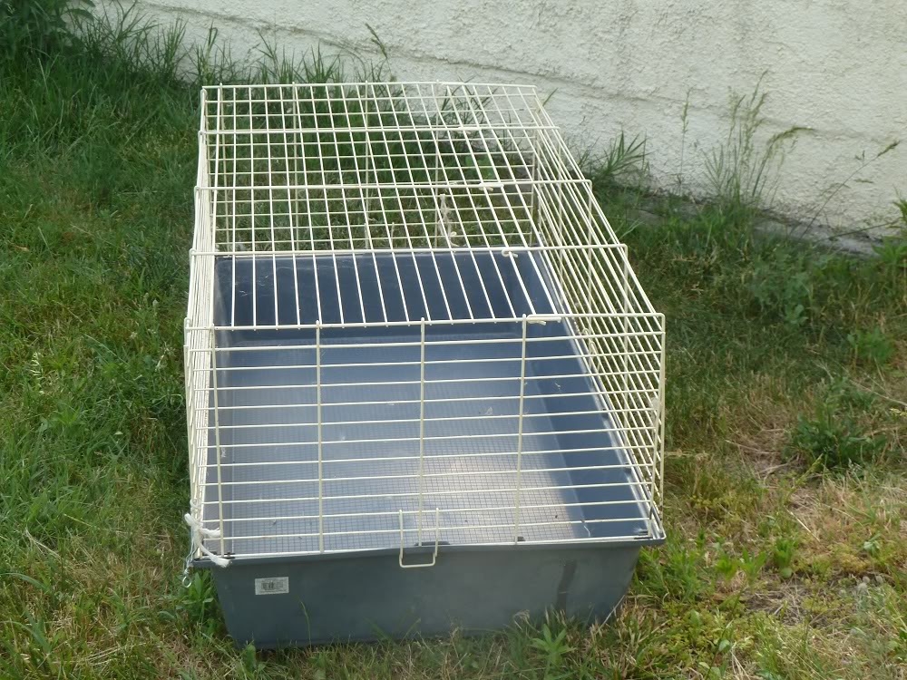 Cage furet d'occasion 004