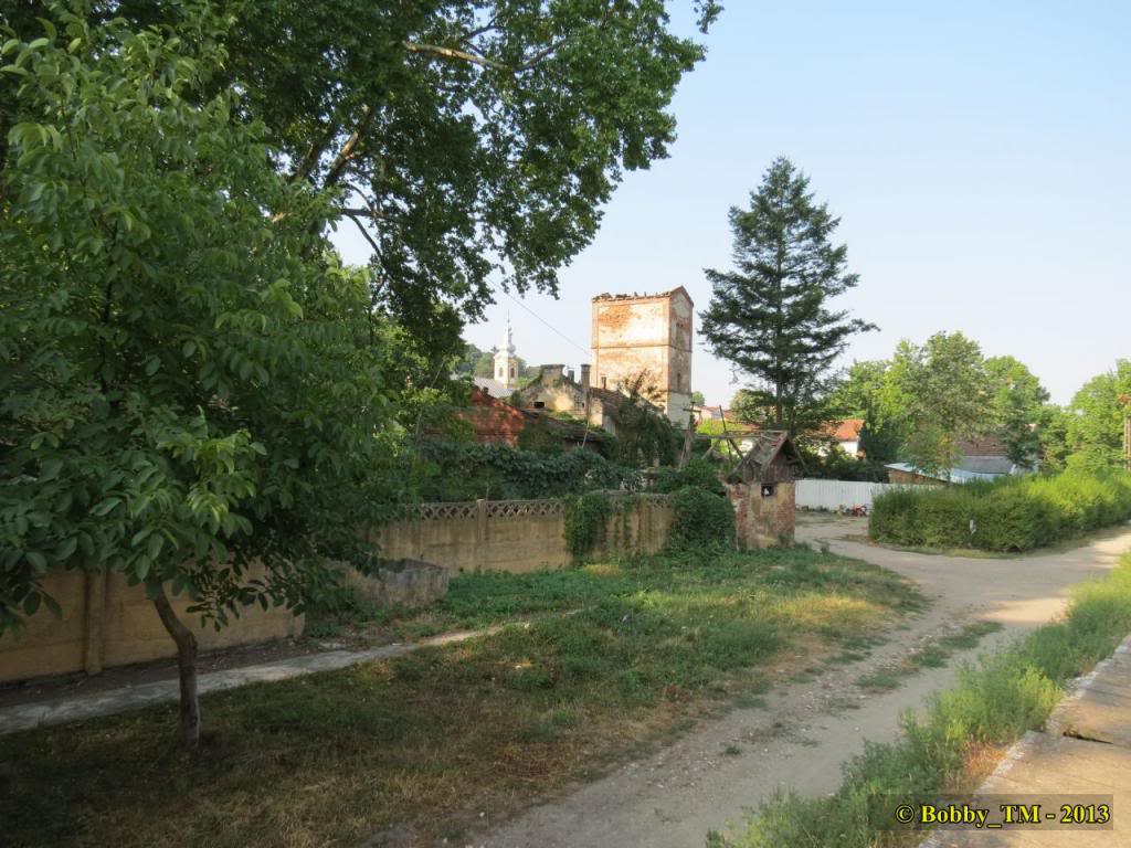 Timisoara Nord - Resita Sud IMG_1021_zps03dc440c
