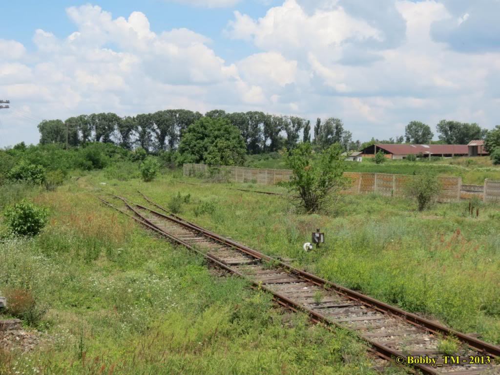 Timisoara Nord - Resita Sud IMG_0639_zps89a7873d