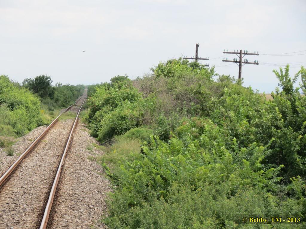 Timisoara Nord - Resita Sud IMG_0651_zps9661822b