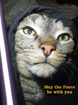 ..."Cats got something to tell you"... Mtfbwy