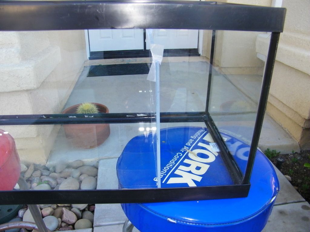 DIY Sump 108_0004