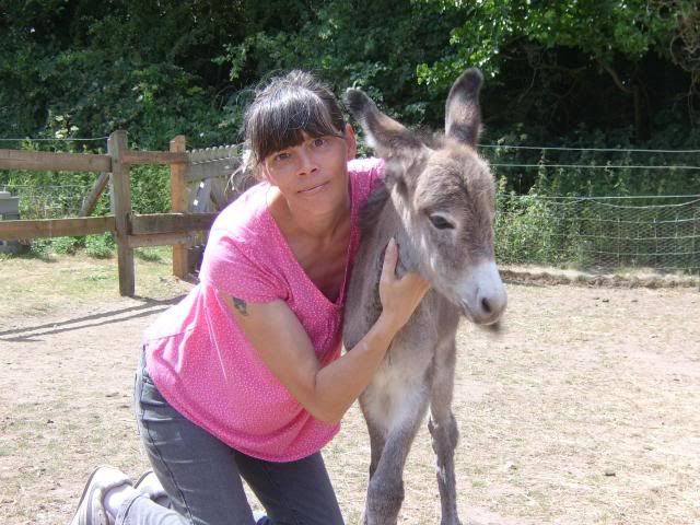 Justine donkey had her baby Dollyhavingahug