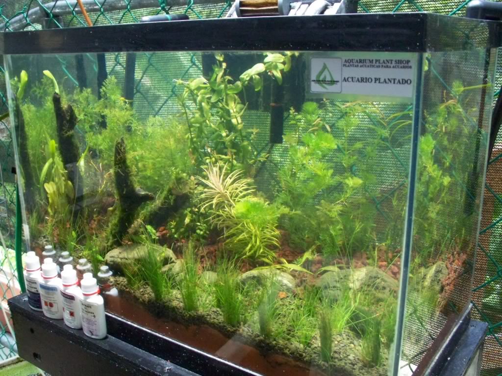 Montaje de un acuario plantado Acuariodisplay006-1