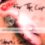 Detroit Redwings Detcupmc0