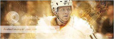 Anaheim Ducks Cp11