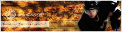 Anaheim Ducks Perrycopybx7