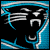 Carolina Panthers