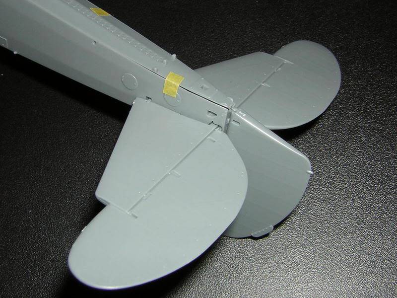 [Tamiya] Fieseler Fi-156 Storch DSCN1499