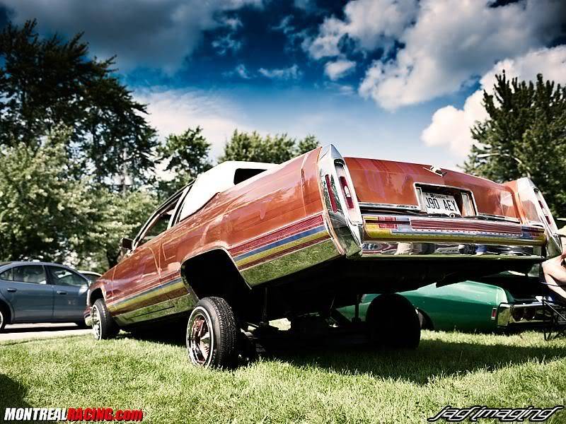 ***5EME BBQ ANNUEL DU CLUB DE LOWRIDER LUXURIOUS MONTREAL*** - Page 4 Luxuriousbbq117