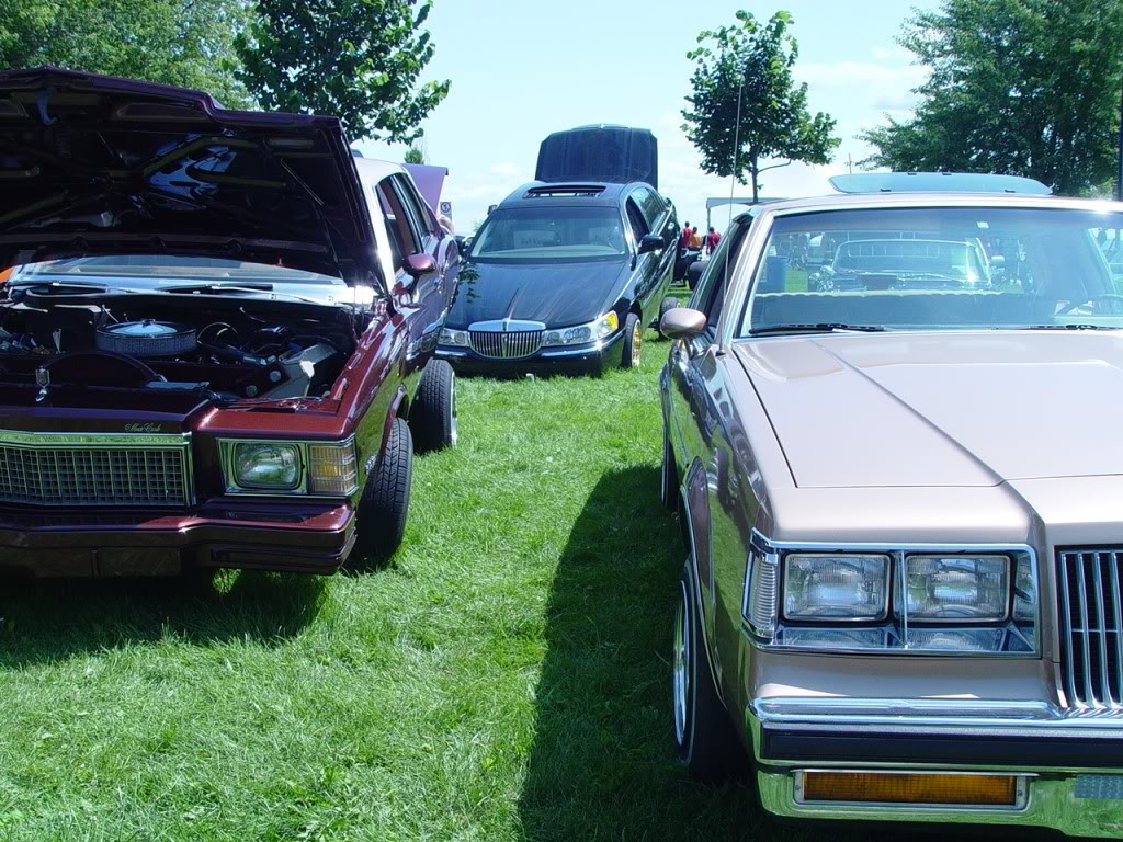 3EME BBQ ANNUEL DU CLUB DE LOWRIDER LUXURIOUS MONTREAL - Page 4 Uoiphpuiogi-1