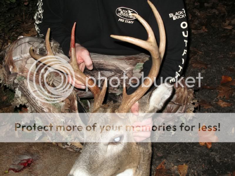 My first Buck with a bow. Photo_2-3