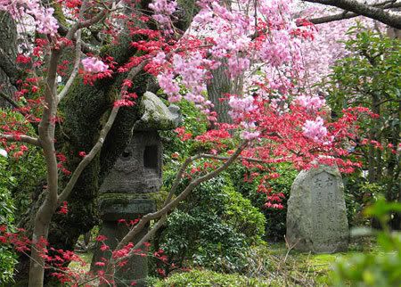 Les jardins japonais Jardin-zen