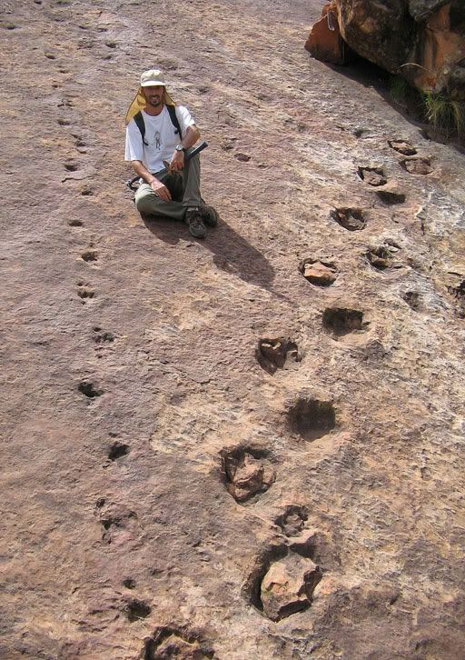 Descubiertas en Bolivia las huellas de dinosaurio más antiguas de Sudamérica 1226517284_g_0