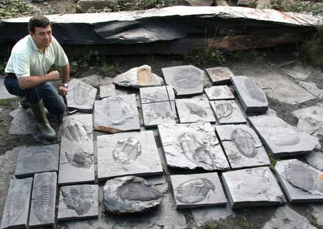 La impresionante 'Pompeya' de los trilobites gigantes 1241861407_0