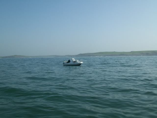 Rhoscolyn area - 25/3/12 100_1017