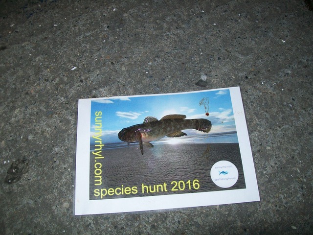 Headwyns 2016 species. 100_1732_zps2yfebjaa