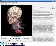 Interactive 3D Anatomy 30104e8cb156t