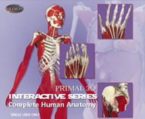 Interactive 3D Anatomy C9ae4ee04b3d