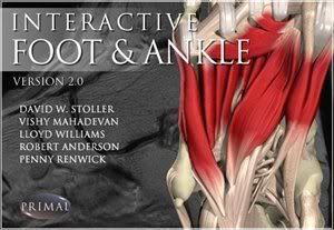 Interactive 3D Anatomy D003e9c872fe