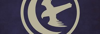 Características de las casas y sus casas vasallas Bannerarryn